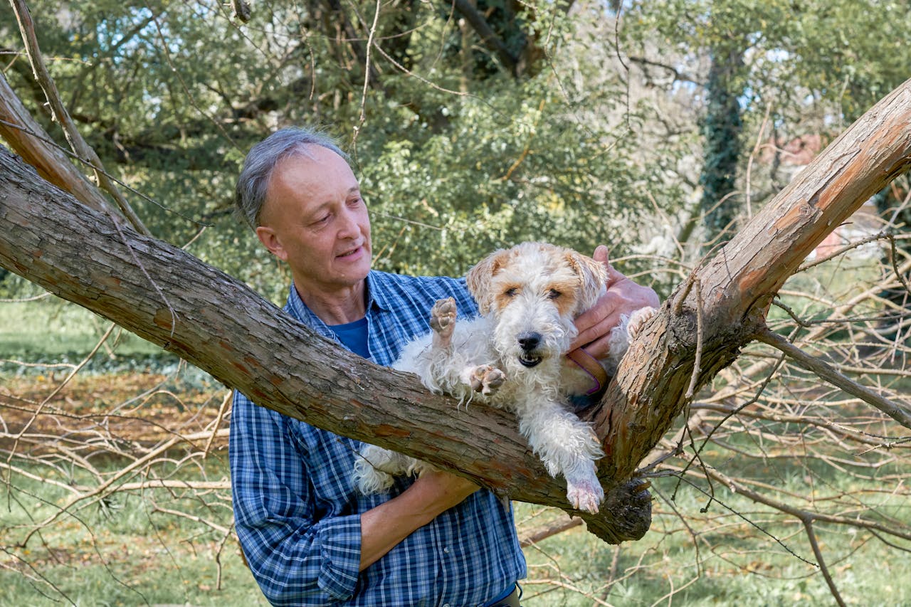 A man holds a dog in a tree amidst lush greenery in a park.